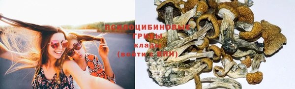 дмт Абаза