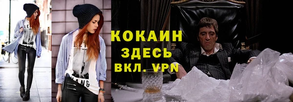 дмт Абаза