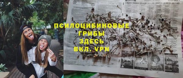 стаф Абдулино