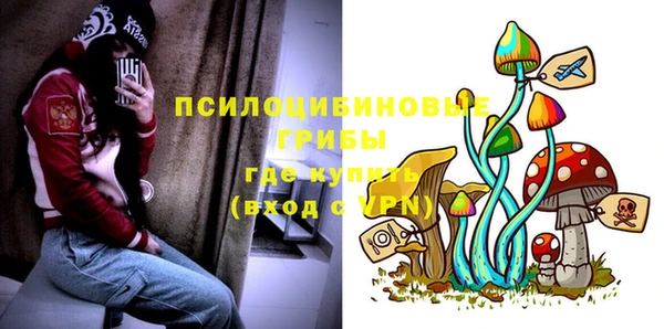 стаф Абдулино