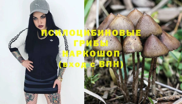 spice Алексеевка