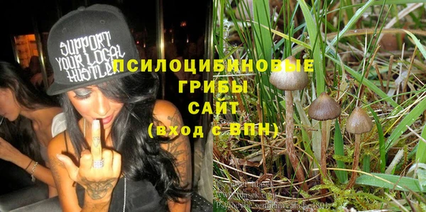 ПСИЛОЦИБИНОВЫЕ ГРИБЫ Абинск