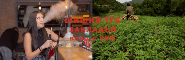 стаф Абдулино