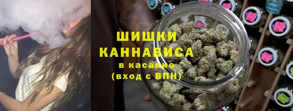 стаф Абдулино