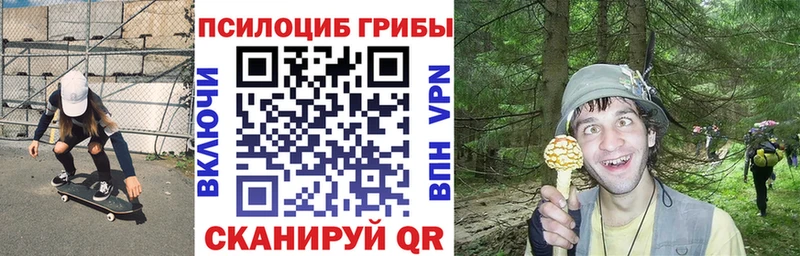 Галлюциногенные грибы GOLDEN TEACHER  Зубцов 